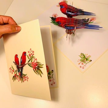 Double Crimson Rosella Parrot Australian Bird Origami Pop Cards 3D Pop Up Greeting Card Happy Birthday Thank You Handmade Gift Thinking of You Blank Card for Any Occasion Happy Mother's Day Happy Father's Australiana Birds