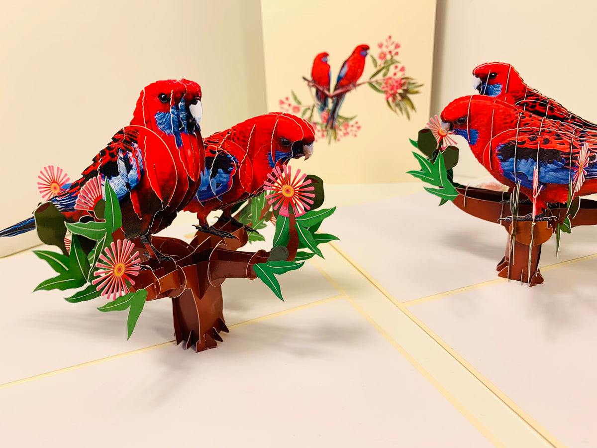 Double Crimson Rosella Parrot Australian Bird Origami Pop Cards 3D Pop Up Greeting Card Happy Birthday Thank You Handmade Gift Thinking of You Blank Card for Any Occasion Happy Mother's Day Happy Father's Australiana Birds