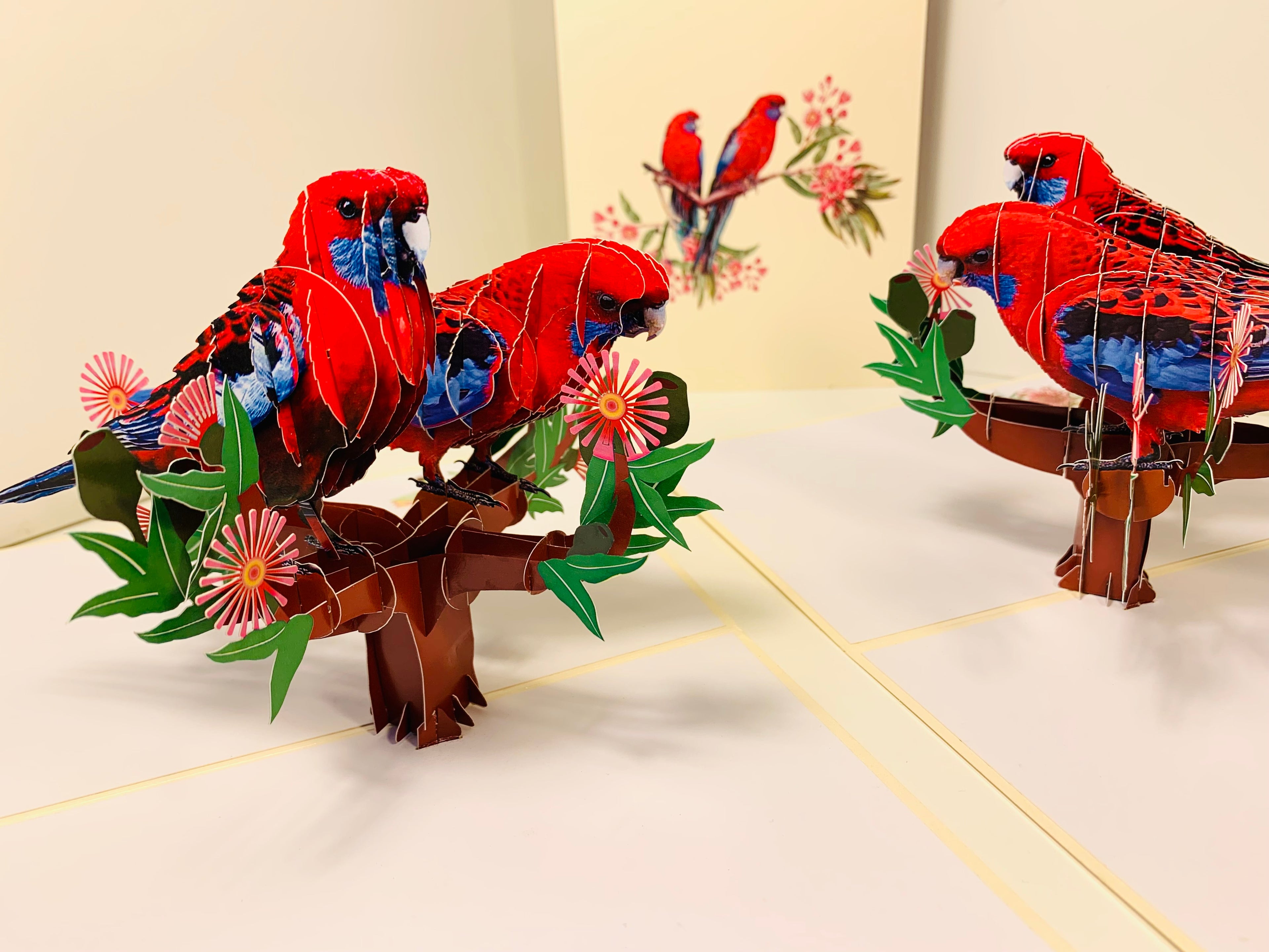 Double Crimson Rosella Parrot Australian Bird Origami Pop Cards 3D Pop Up Greeting Card Happy Birthday Thank You Handmade Gift Thinking of You Blank Card for Any Occasion Happy Mother's Day Happy Father's Australiana Birds