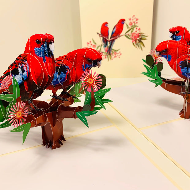 Double Crimson Rosella Parrot Australian Bird Origami Pop Cards 3D Pop Up Greeting Card Happy Birthday Thank You Handmade Gift Thinking of You Blank Card for Any Occasion Happy Mother's Day Happy Father's Australiana Birds