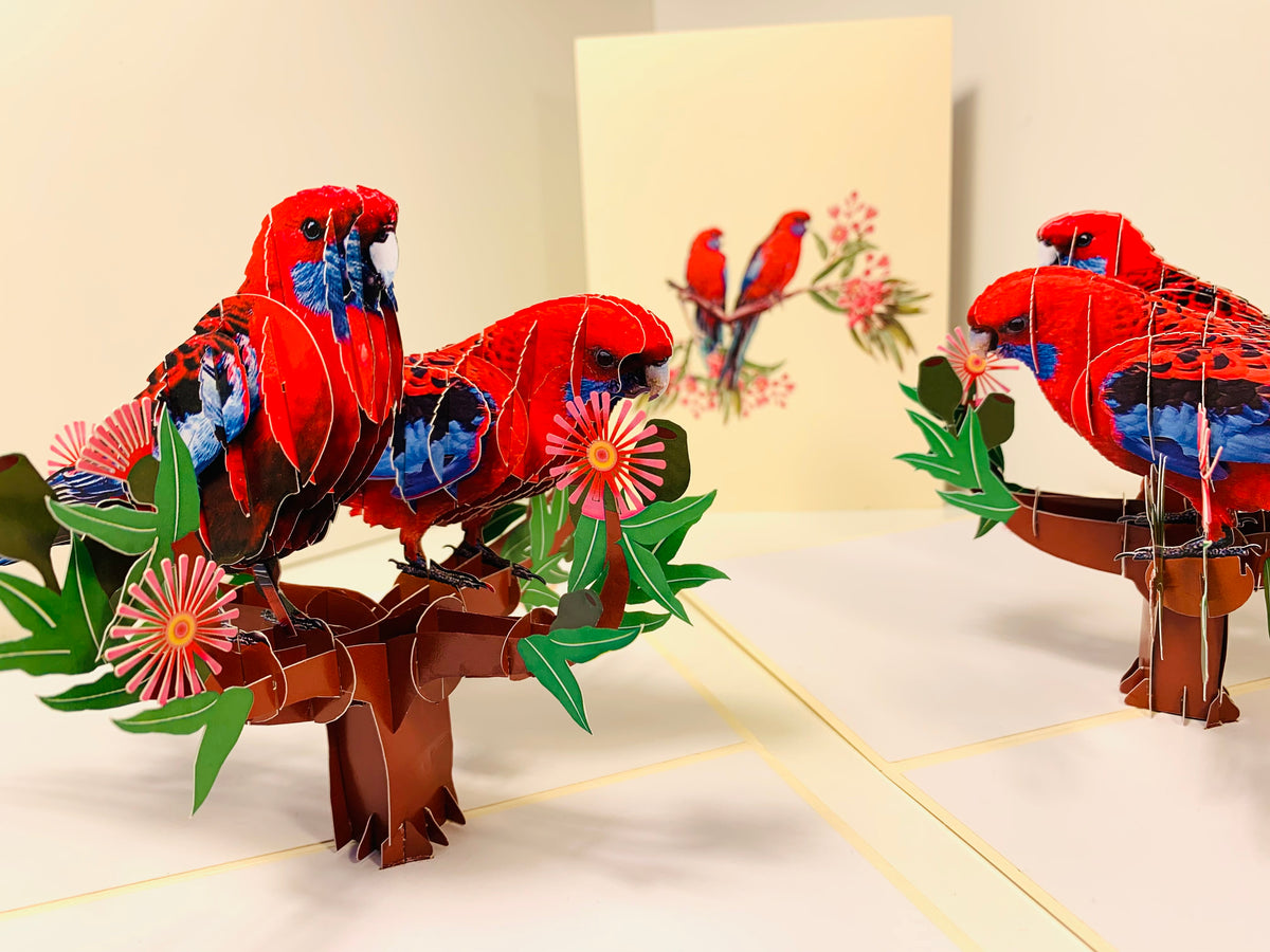 Double Crimson Rosella Parrot Australian Bird Origami Pop Cards 3D Pop Up Greeting Card Happy Birthday Thank You Handmade Gift Thinking of You Blank Card for Any Occasion Happy Mother's Day Happy Father's Australiana Birds