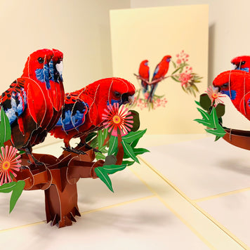Double Crimson Rosella Parrot Australian Bird Origami Pop Cards 3D Pop Up Greeting Card Happy Birthday Thank You Handmade Gift Thinking of You Blank Card for Any Occasion Happy Mother's Day Happy Father's Australiana Birds