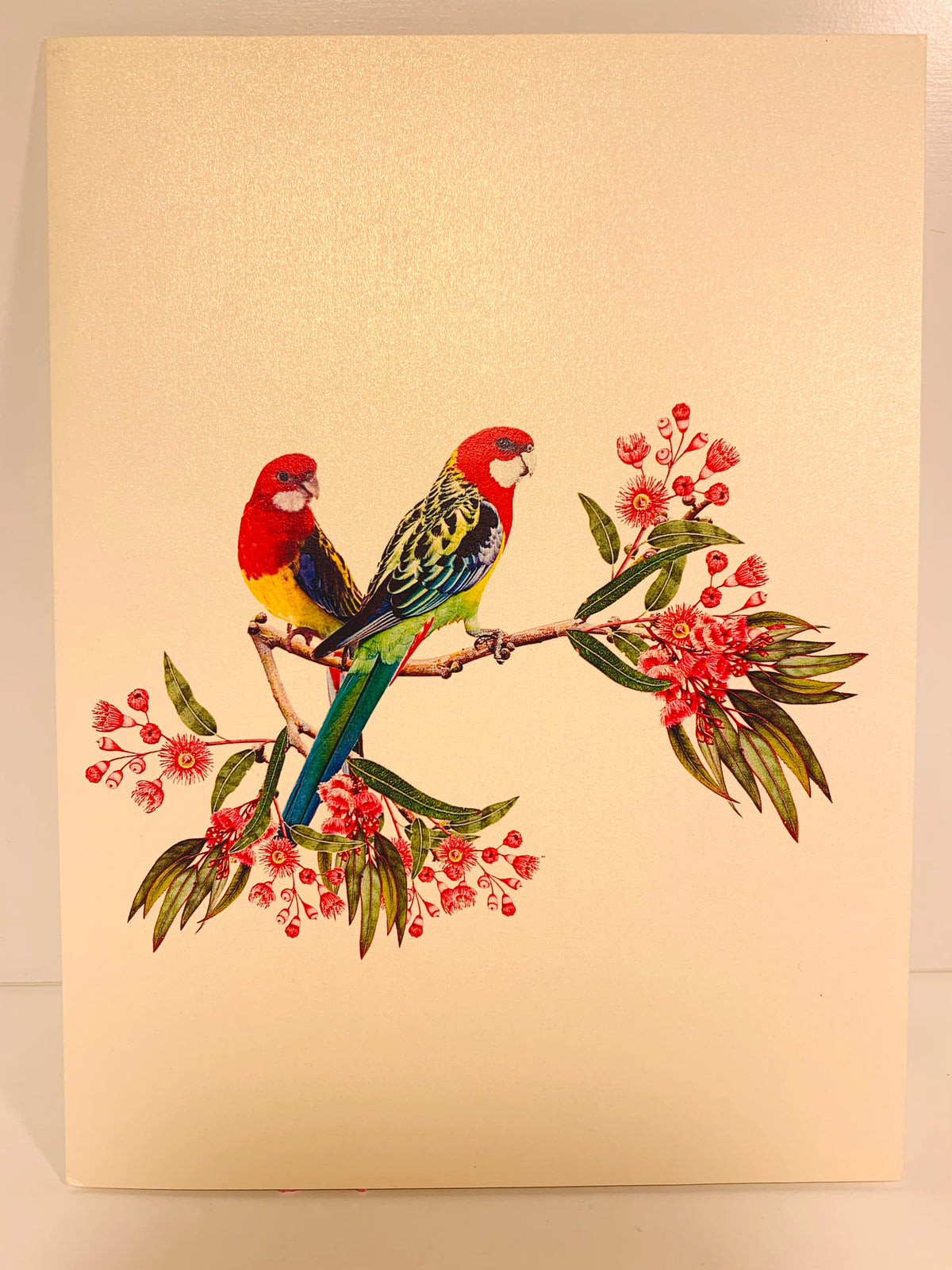 Double Eastern Rosella Parrot Australian Bird Origami Pop Cards 3D Pop Up Greeting Card Happy Birthday Thank You Handmade Gift Thinking of You Blank Card for Any Occasion Happy Mother's Day Happy Father's Australiana Birds