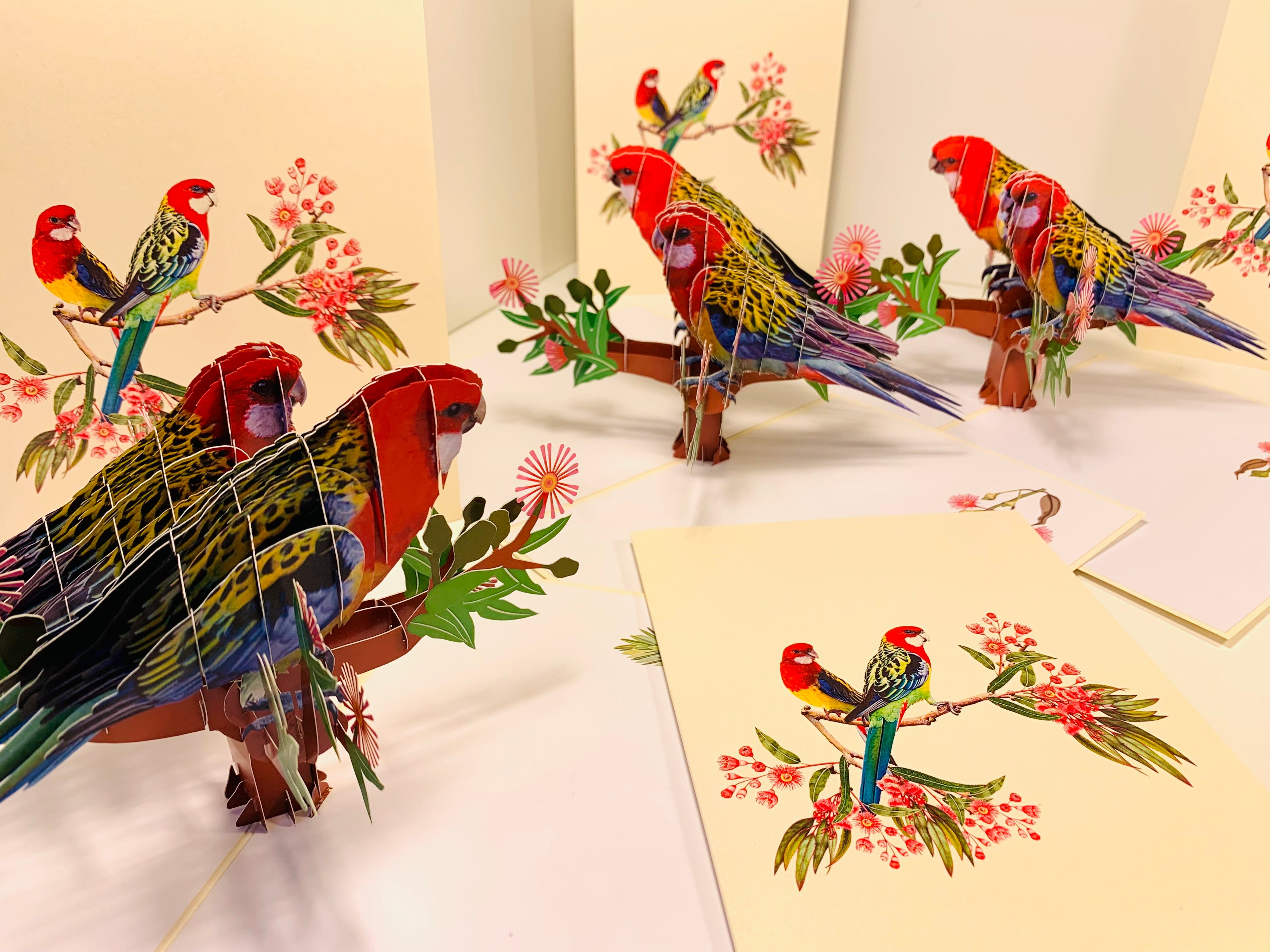 Double Eastern Rosella Parrot Australian Bird Origami Pop Cards 3D Pop Up Greeting Card Happy Birthday Thank You Handmade Gift Thinking of You Blank Card for Any Occasion Happy Mother's Day Happy Father's Australiana Birds