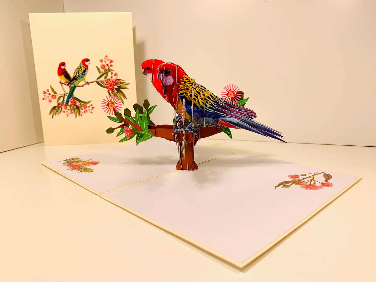 Double Eastern Rosella Parrot Australian Bird Origami Pop Cards 3D Pop Up Greeting Card Happy Birthday Thank You Handmade Gift Thinking of You Blank Card for Any Occasion Happy Mother's Day Happy Father's Australiana Birds