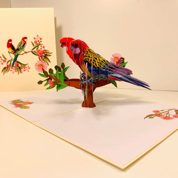 Double Eastern Rosella Parrot Australian Bird Origami Pop Cards 3D Pop Up Greeting Card Happy Birthday Thank You Handmade Gift Thinking of You Blank Card for Any Occasion Happy Mother's Day Happy Father's Australiana Birds