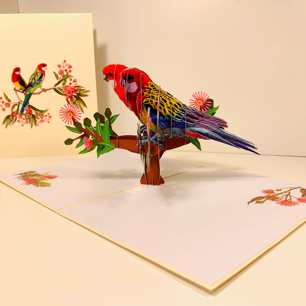 Double Eastern Rosella Parrot Australian Bird Origami Pop Cards 3D Pop Up Greeting Card Happy Birthday Thank You Handmade Gift Thinking of You Blank Card for Any Occasion Happy Mother's Day Happy Father's Australiana Birds