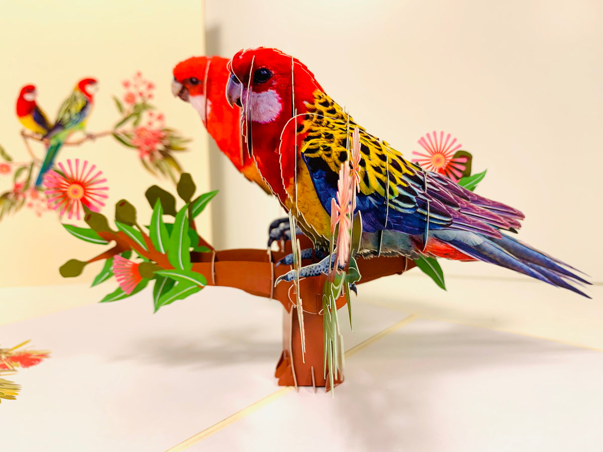 Double Eastern Rosella Parrot Australian Bird Origami Pop Cards 3D Pop Up Greeting Card Happy Birthday Thank You Handmade Gift Thinking of You Blank Card for Any Occasion Happy Mother's Day Happy Father's Australiana Birds