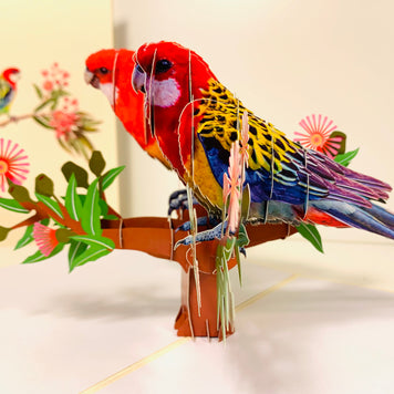 Double Eastern Rosella Parrot Australian Bird Origami Pop Cards 3D Pop Up Greeting Card Happy Birthday Thank You Handmade Gift Thinking of You Blank Card for Any Occasion Happy Mother's Day Happy Father's Australiana Birds