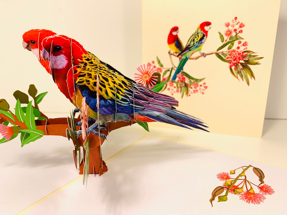 Double Eastern Rosella Parrot Australian Bird Origami Pop Cards 3D Pop Up Greeting Card Happy Birthday Thank You Handmade Gift Thinking of You Blank Card for Any Occasion Happy Mother's Day Happy Father's Australiana Birds
