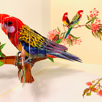 Double Eastern Rosella Parrot Australian Bird Origami Pop Cards 3D Pop Up Greeting Card Happy Birthday Thank You Handmade Gift Thinking of You Blank Card for Any Occasion Happy Mother's Day Happy Father's Australiana Birds