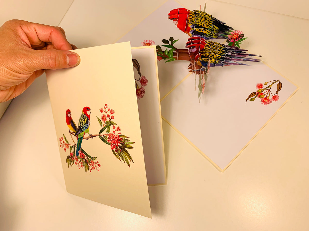 Double Eastern Rosella Parrot Australian Bird Origami Pop Cards 3D Pop Up Greeting Card Happy Birthday Thank You Handmade Gift Thinking of You Blank Card for Any Occasion Happy Mother's Day Happy Father's Australiana Birds