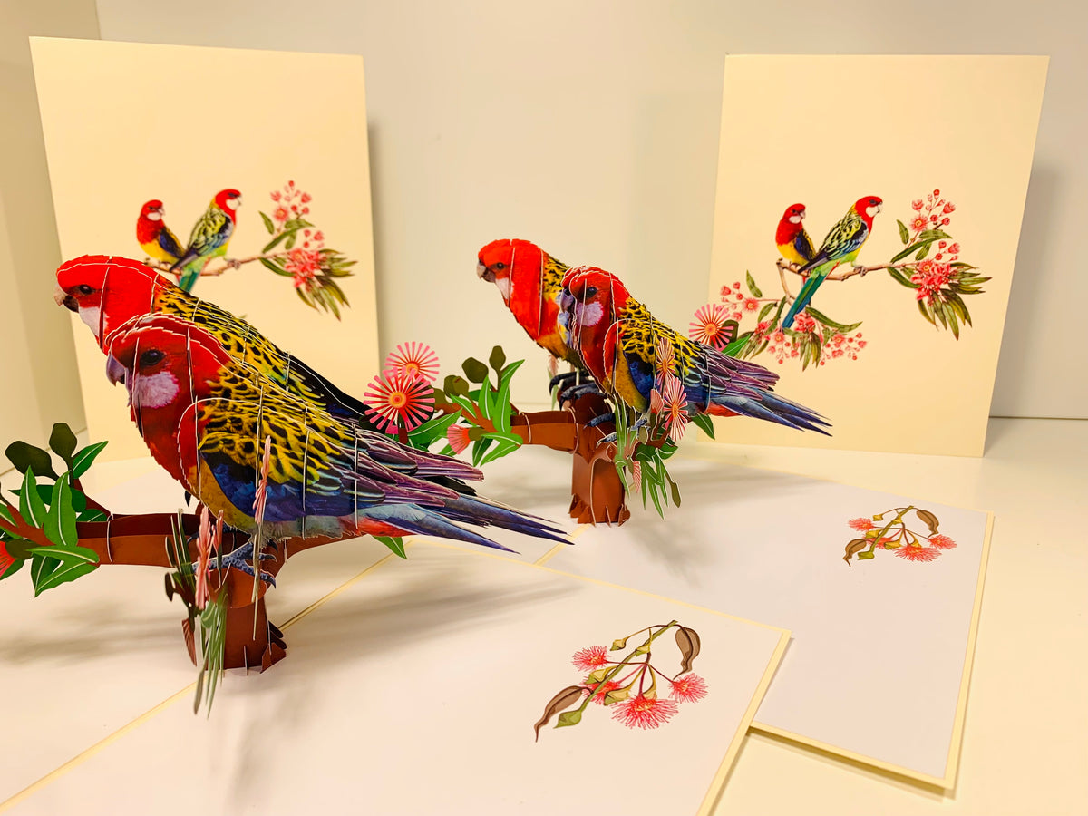 Double Eastern Rosella Parrot Australian Bird Origami Pop Cards 3D Pop Up Greeting Card Happy Birthday Thank You Handmade Gift Thinking of You Blank Card for Any Occasion Happy Mother's Day Happy Father's Australiana Birds