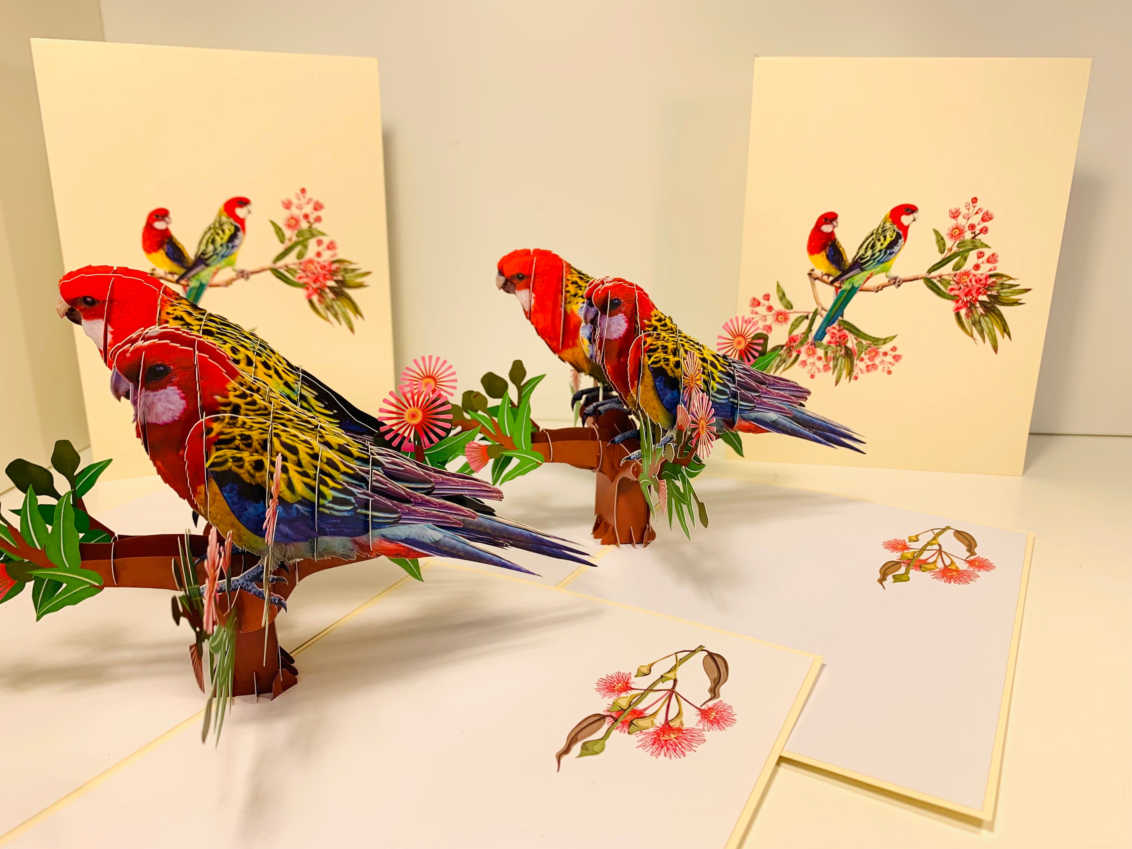 Double Eastern Rosella Parrot Australian Bird Origami Pop Cards 3D Pop Up Greeting Card Happy Birthday Thank You Handmade Gift Thinking of You Blank Card for Any Occasion Happy Mother's Day Happy Father's Australiana Birds