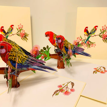 Double Eastern Rosella Parrot Australian Bird Origami Pop Cards 3D Pop Up Greeting Card Happy Birthday Thank You Handmade Gift Thinking of You Blank Card for Any Occasion Happy Mother's Day Happy Father's Australiana Birds