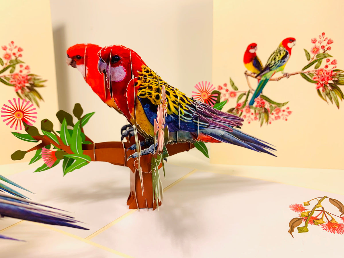 Double Eastern Rosella Parrot Australian Bird Origami Pop Cards 3D Pop Up Greeting Card Happy Birthday Thank You Handmade Gift Thinking of You Blank Card for Any Occasion Happy Mother's Day Happy Father's Australiana Birds
