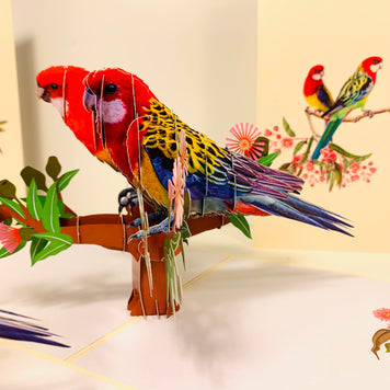 Double Eastern Rosella Parrot Australian Bird Origami Pop Cards 3D Pop Up Greeting Card Happy Birthday Thank You Handmade Gift Thinking of You Blank Card for Any Occasion Happy Mother's Day Happy Father's Australiana Birds