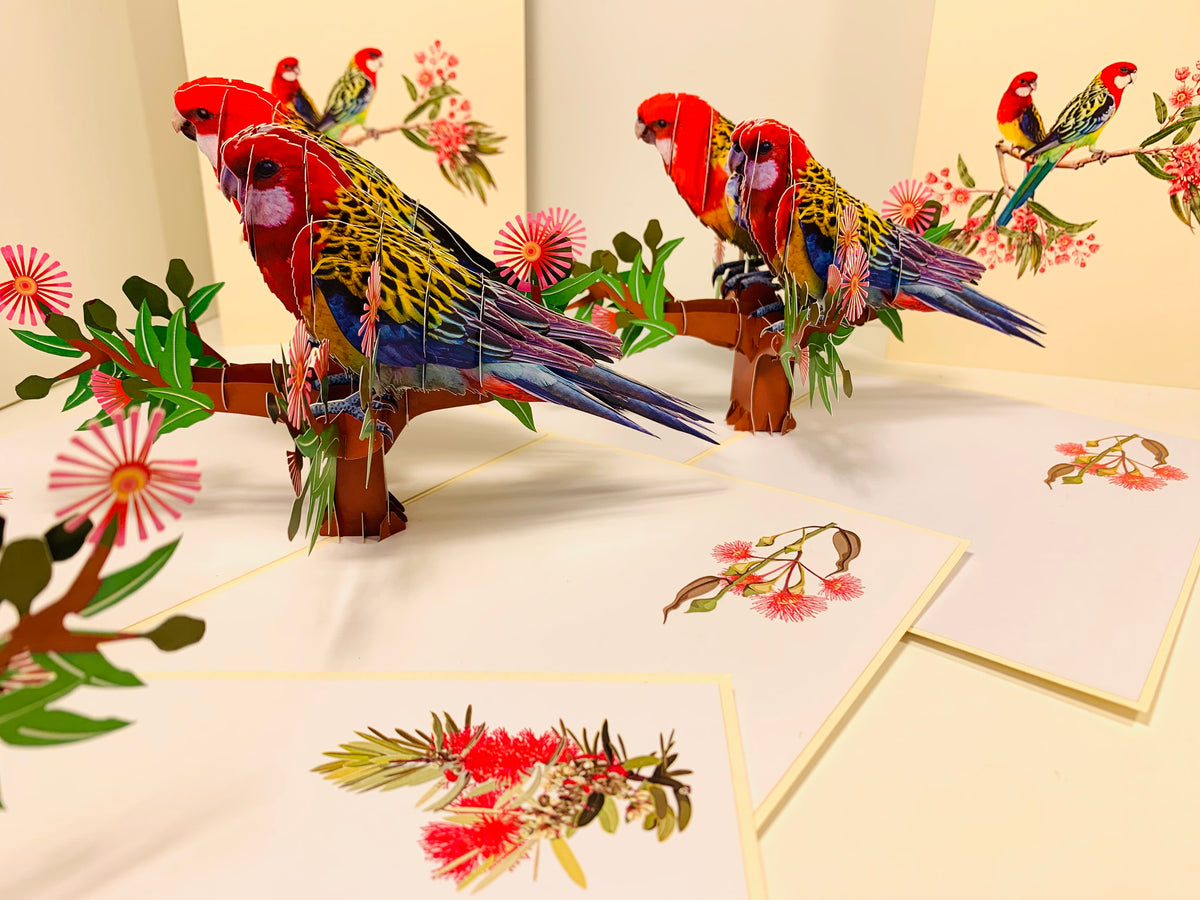 Double Eastern Rosella Parrot Australian Bird Origami Pop Cards 3D Pop Up Greeting Card Happy Birthday Thank You Handmade Gift Thinking of You Blank Card for Any Occasion Happy Mother's Day Happy Father's Australiana Birds