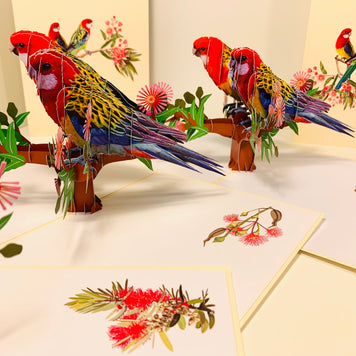 Double Eastern Rosella Parrot Australian Bird Origami Pop Cards 3D Pop Up Greeting Card Happy Birthday Thank You Handmade Gift Thinking of You Blank Card for Any Occasion Happy Mother's Day Happy Father's Australiana Birds