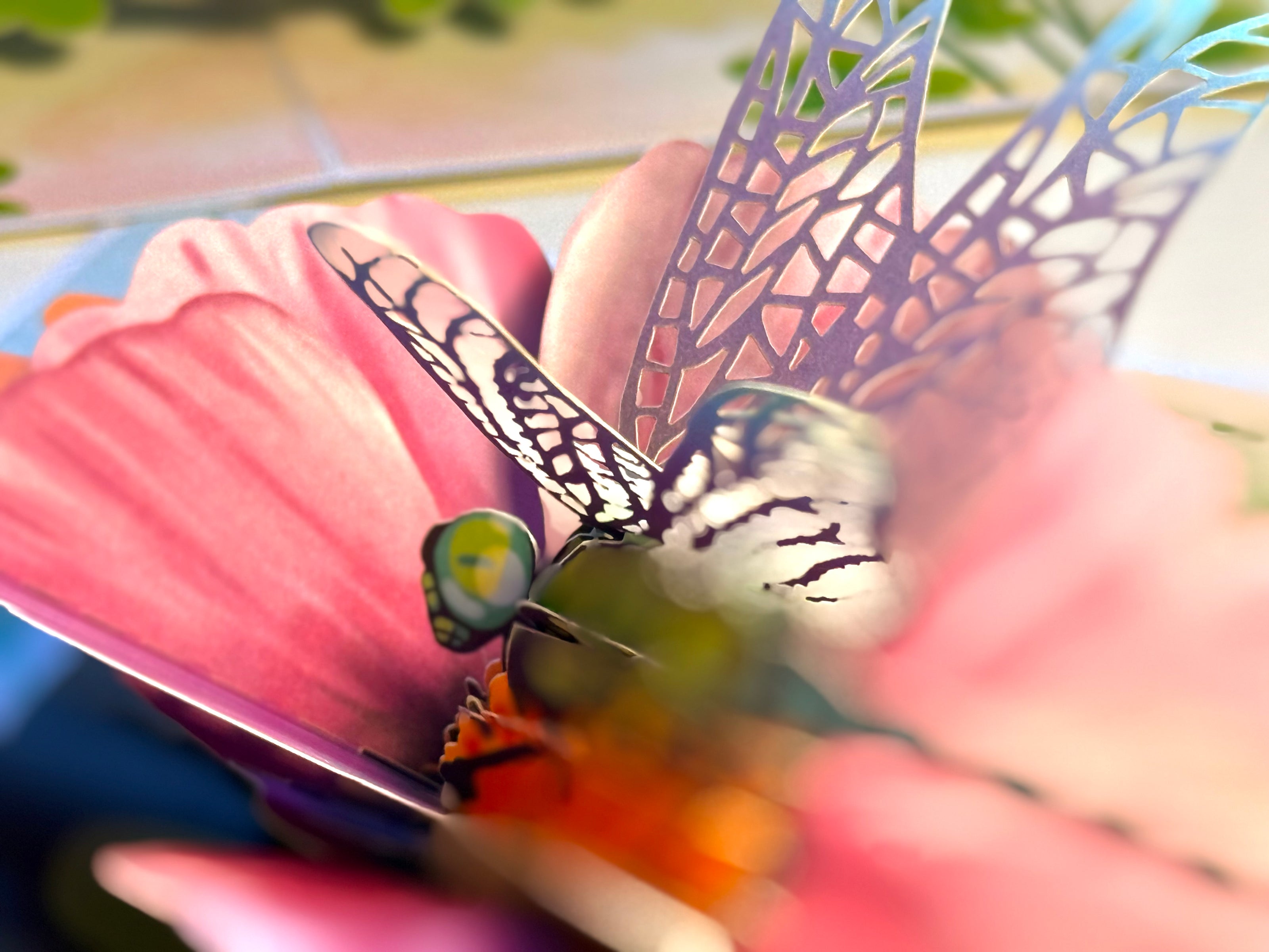 Dragonfly Attracting Cosmos Flowers Origami Pop Cards 3D Pop Up Greeting Card Happy Birthday Thank You Handmade Gift Thinking of You Blank Card for Any Occasion Happy Mother's Day Happy Father's Australiana Celebrate the Beauty of Flower