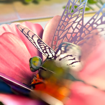 Dragonfly Attracting Cosmos Flowers Origami Pop Cards 3D Pop Up Greeting Card Happy Birthday Thank You Handmade Gift Thinking of You Blank Card for Any Occasion Happy Mother's Day Happy Father's Australiana Celebrate the Beauty of Flower