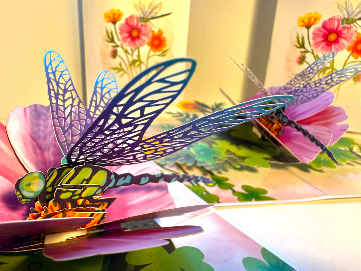 Dragonfly Attracting Cosmos Flowers Origami Pop Cards 3D Pop Up Greeting Card Happy Birthday Thank You Handmade Gift Thinking of You Blank Card for Any Occasion Happy Mother's Day Happy Father's Australiana Celebrate the Beauty of Flower