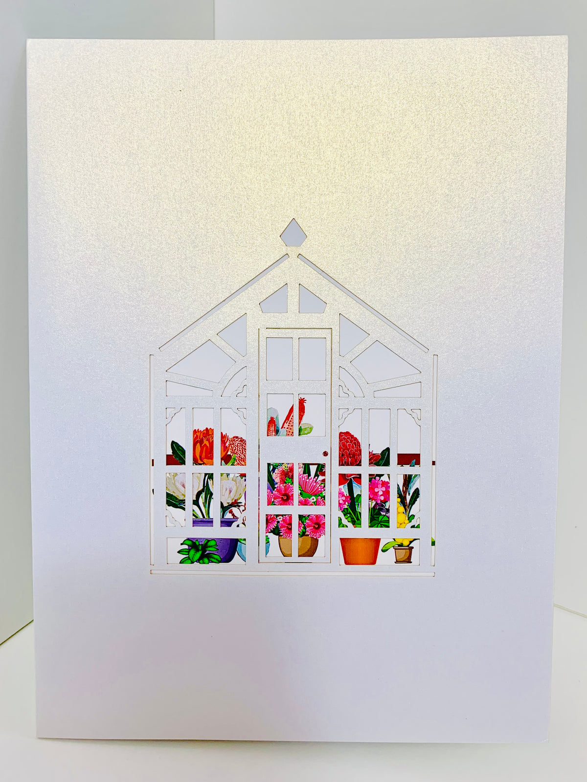Flourishing Australian Native Greenhouse Garden & Birds Origami Pop Cards 3D Pop Up Greeting Card Celebrate Happy Birthday Thank You Handmade Best Wishes Gift Thinking of You Blank Card for Any Occasion Happy Mother's Day Happy Father's Day Australiana