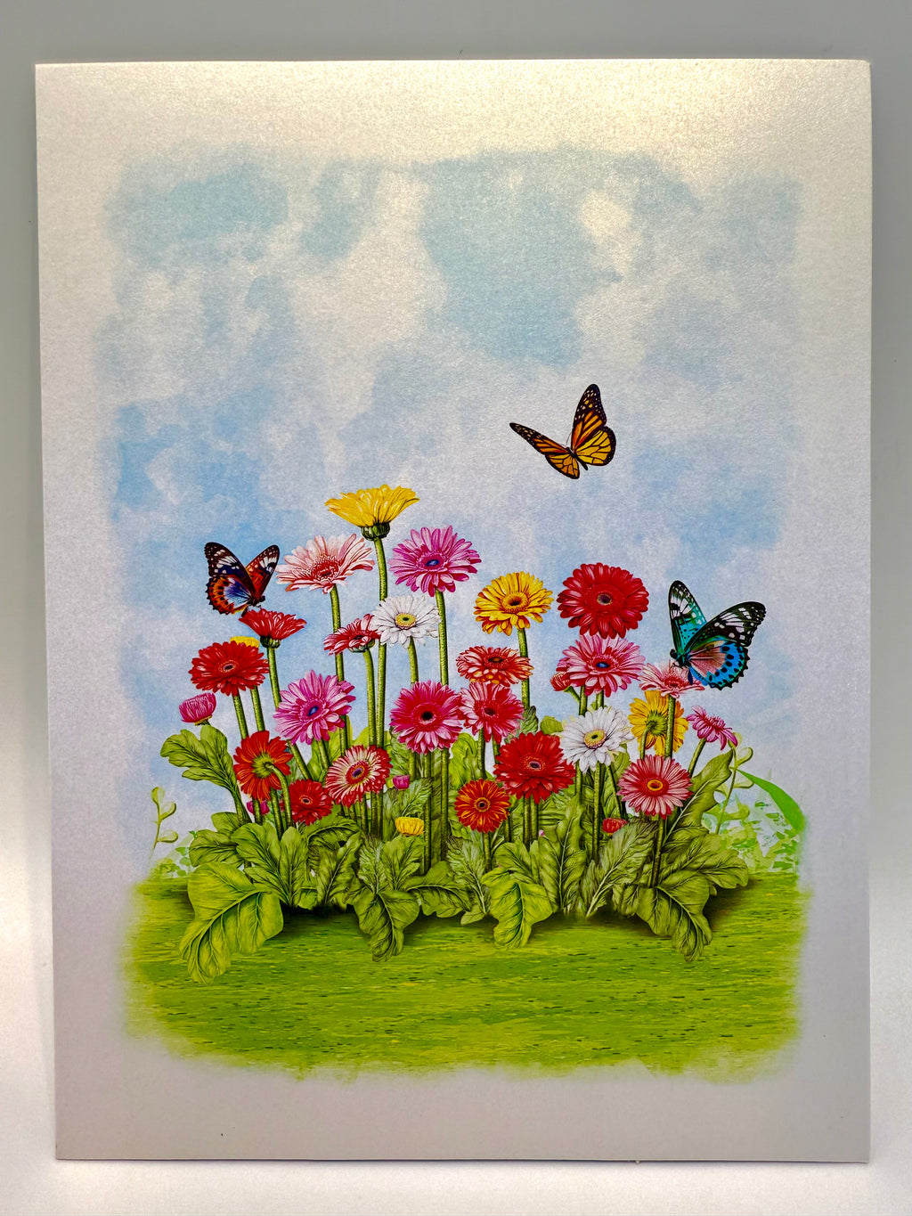 Gerbera Daisy Garden with Butterflies Origami Pop Cards 3D Pop Up Greeting Card Happy Birthday Thank You Handmade Gift Thinking of You Blank Card for Any Occasion Happy Mother's Day Happy Father's Australiana Celebrate the Beauty of Flower