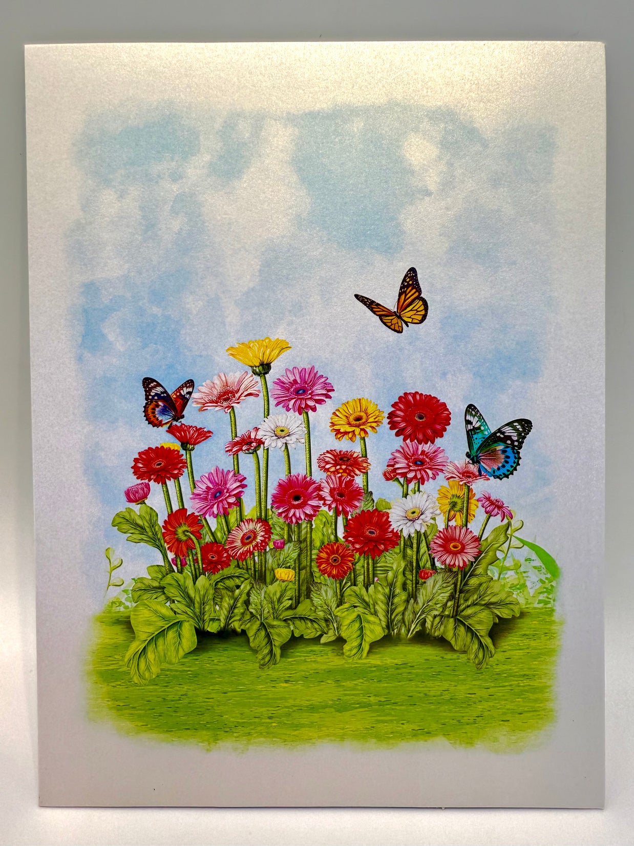 Gerbera Daisy Garden with Butterflies Origami Pop Cards 3D Pop Up Greeting Card Happy Birthday Thank You Handmade Gift Thinking of You Blank Card for Any Occasion Happy Mother's Day Happy Father's Australiana Celebrate the Beauty of Flower