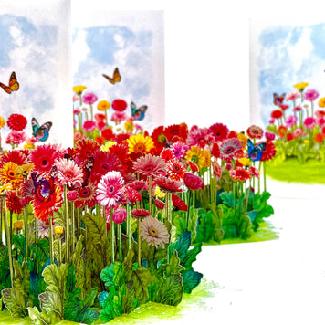 Gerbera Daisy Garden with Butterflies Origami Pop Cards 3D Pop Up Greeting Card Happy Birthday Thank You Handmade Gift Thinking of You Blank Card for Any Occasion Happy Mother's Day Happy Father's Australiana Celebrate the Beauty of Flower