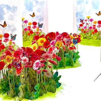 Gerbera Daisy Garden with Butterflies Origami Pop Cards 3D Pop Up Greeting Card Happy Birthday Thank You Handmade Gift Thinking of You Blank Card for Any Occasion Happy Mother's Day Happy Father's Australiana Celebrate the Beauty of Flower