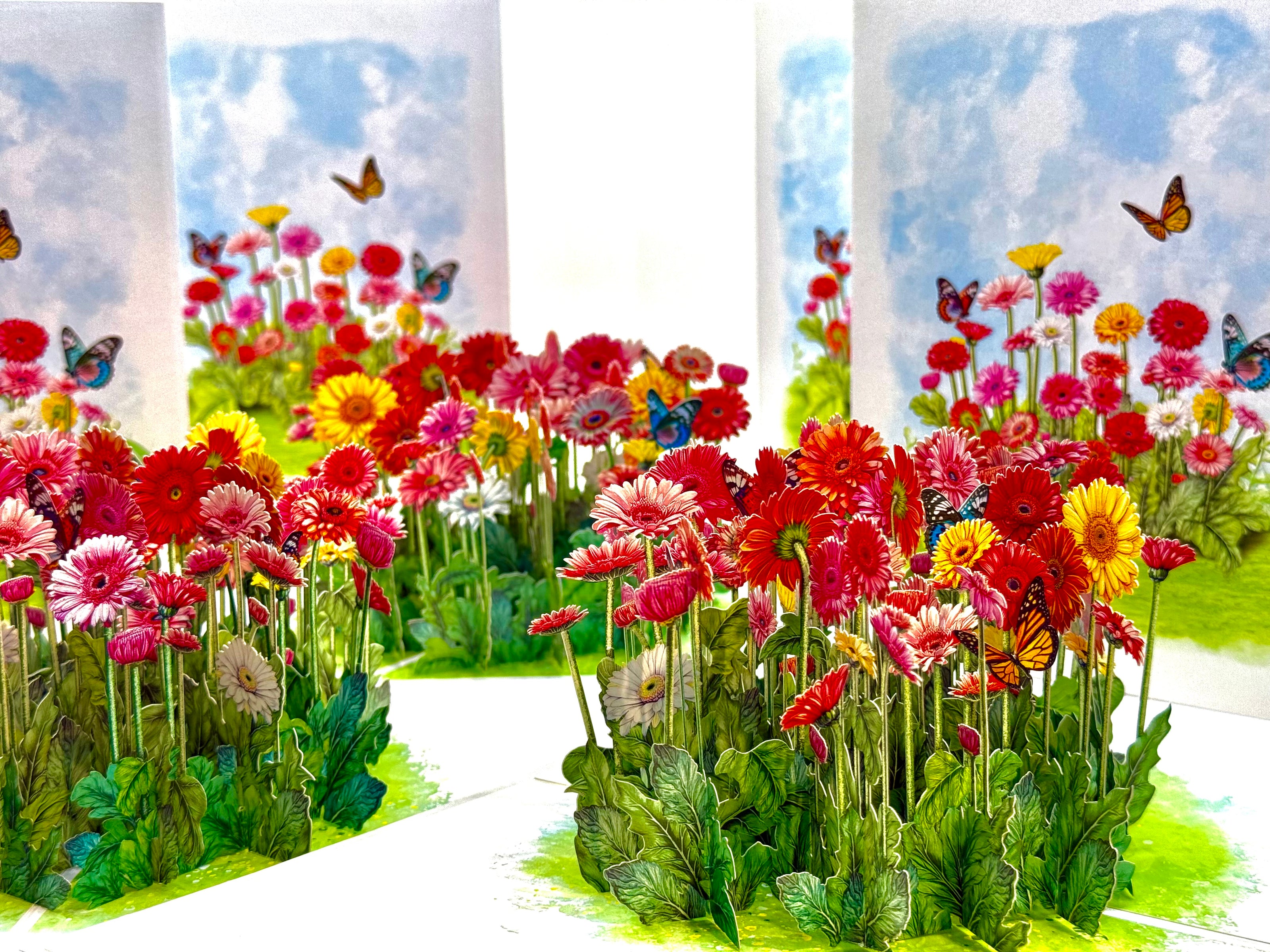 Gerbera Daisy Garden with Butterflies Origami Pop Cards 3D Pop Up Greeting Card Happy Birthday Thank You Handmade Gift Thinking of You Blank Card for Any Occasion Happy Mother's Day Happy Father's Australiana Celebrate the Beauty of Flower
