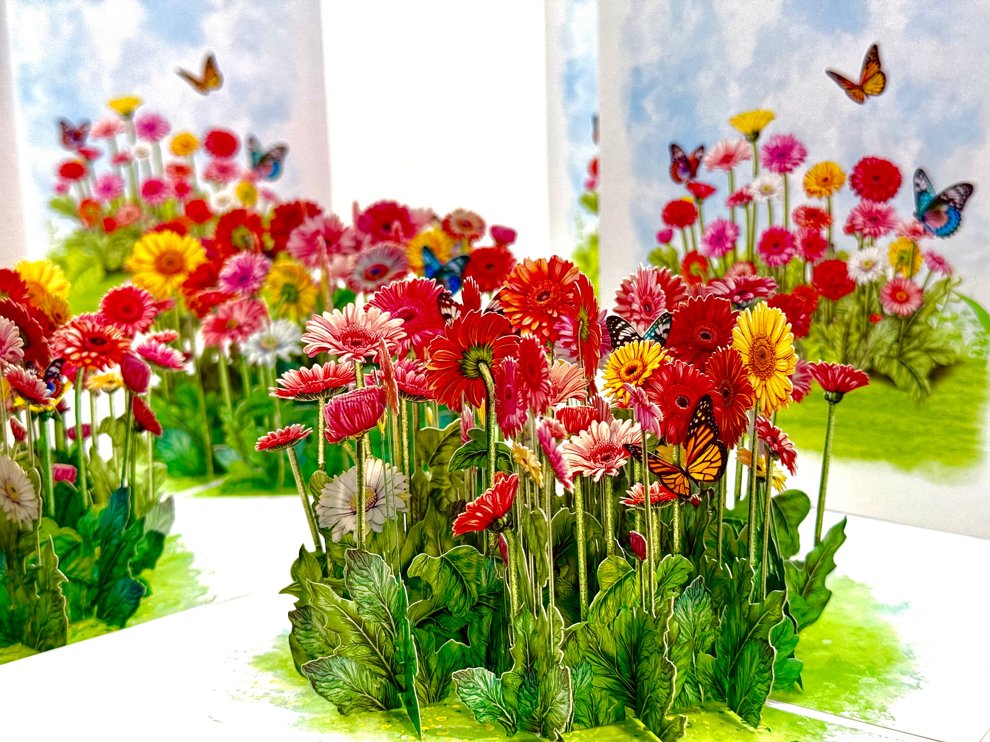 Gerbera Daisy Garden with Butterflies Origami Pop Cards 3D Pop Up Greeting Card Happy Birthday Thank You Handmade Gift Thinking of You Blank Card for Any Occasion Happy Mother's Day Happy Father's Australiana Celebrate the Beauty of Flower