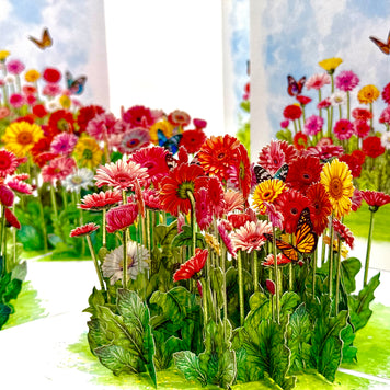 Gerbera Daisy Garden with Butterflies Origami Pop Cards 3D Pop Up Greeting Card Happy Birthday Thank You Handmade Gift Thinking of You Blank Card for Any Occasion Happy Mother's Day Happy Father's Australiana Celebrate the Beauty of Flower