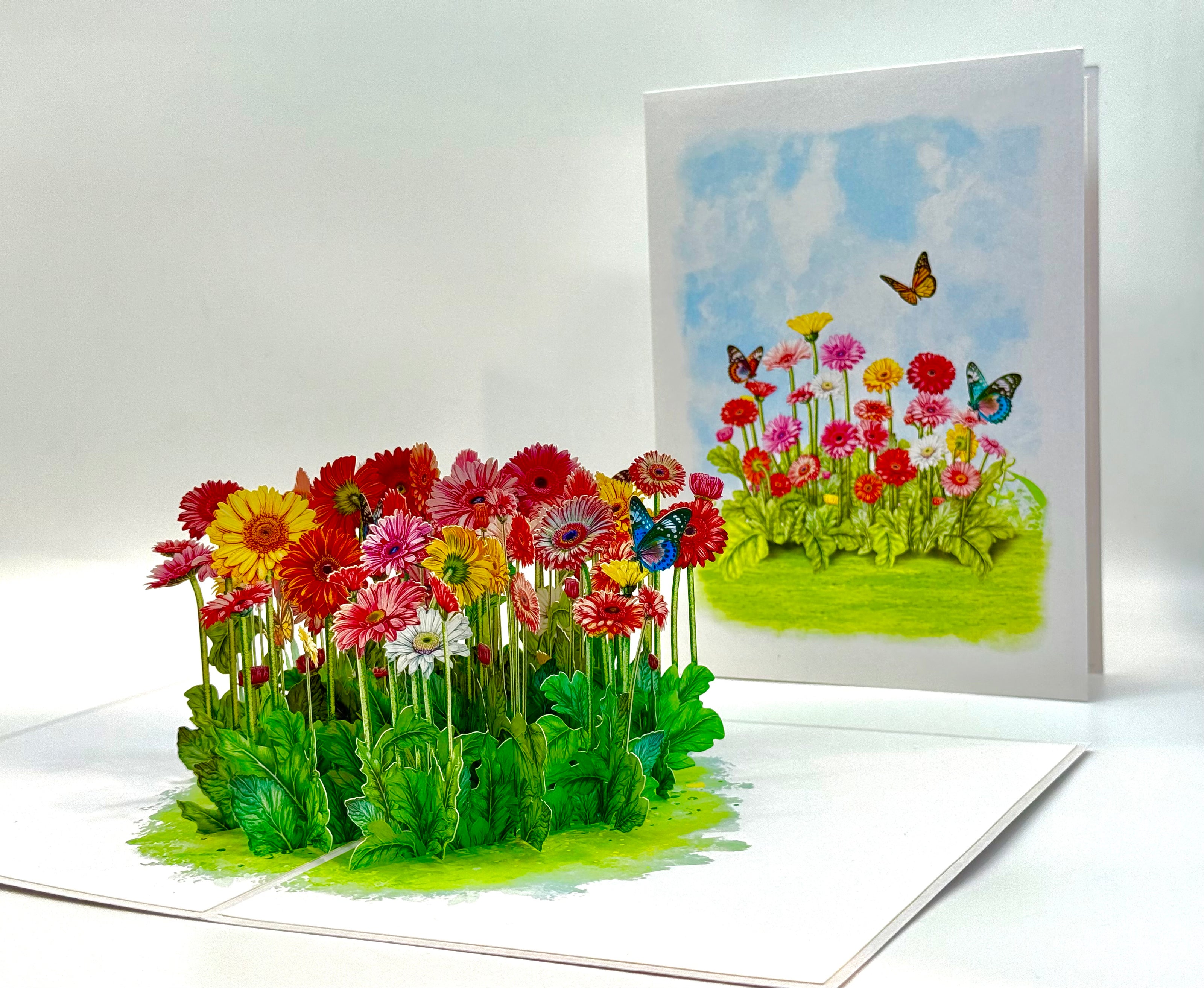 Gerbera Daisy Garden with Butterflies Origami Pop Cards 3D Pop Up Greeting Card Happy Birthday Thank You Handmade Gift Thinking of You Blank Card for Any Occasion Happy Mother's Day Happy Father's Australiana Celebrate the Beauty of Flower