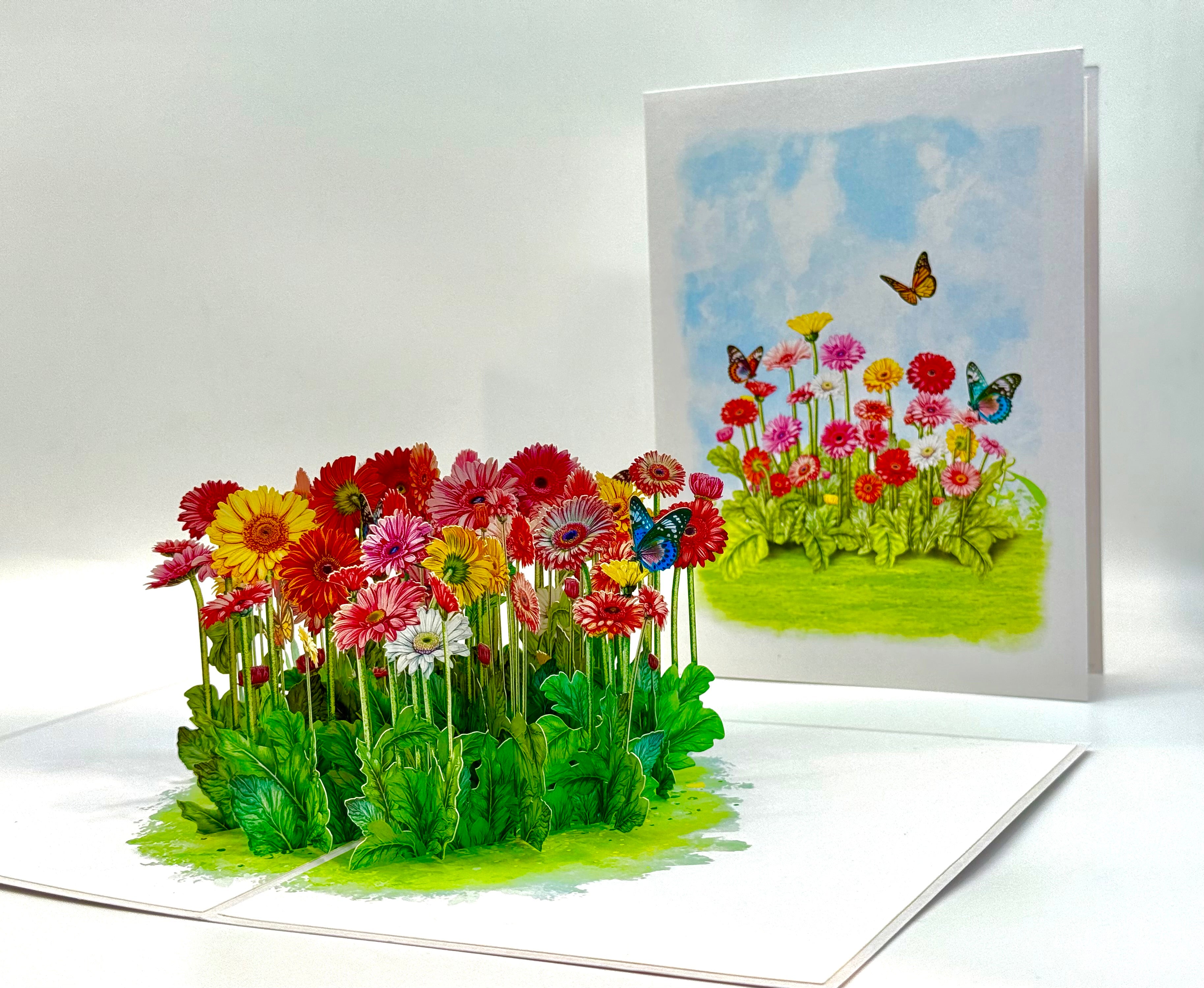 Gerbera Daisy Garden with Butterflies Origami Pop Cards 3D Pop Up Greeting Card Happy Birthday Thank You Handmade Gift Thinking of You Blank Card for Any Occasion Happy Mother's Day Happy Father's Australiana Celebrate the Beauty of Flower