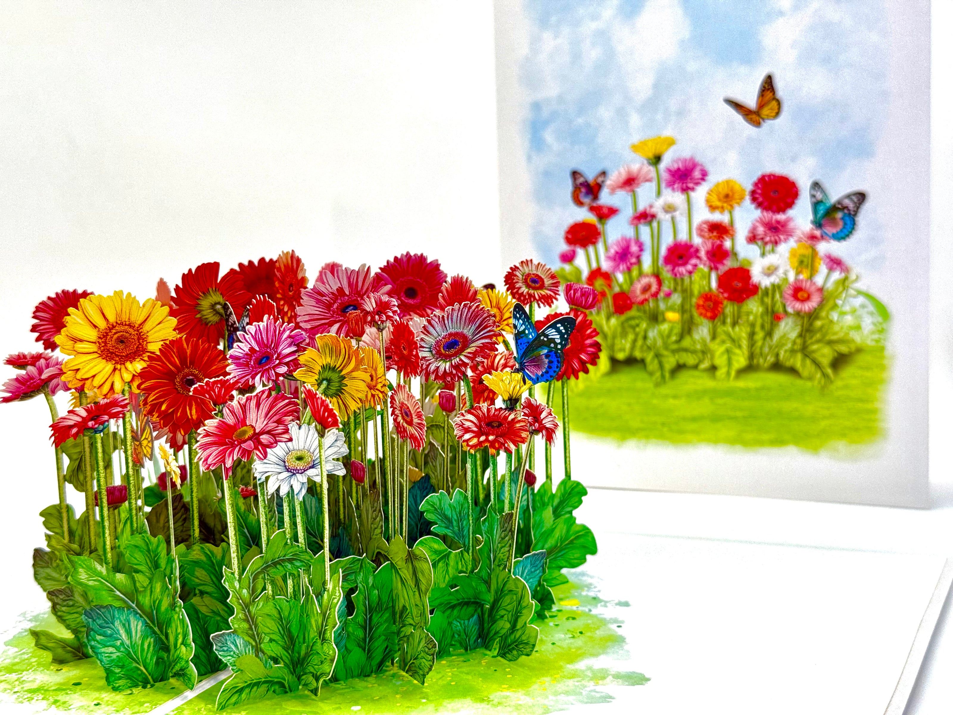 Gerbera Daisy Garden with Butterflies Origami Pop Cards 3D Pop Up Greeting Card Happy Birthday Thank You Handmade Gift Thinking of You Blank Card for Any Occasion Happy Mother's Day Happy Father's Australiana Celebrate the Beauty of Flower