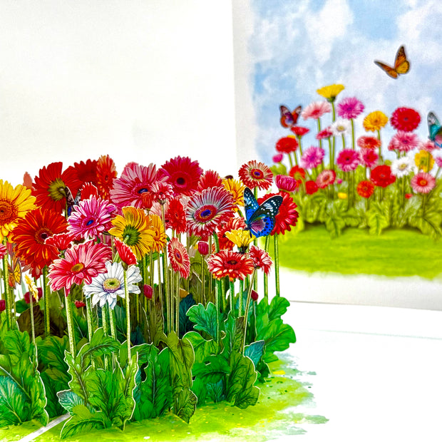 Gerbera Daisy Garden with Butterflies Origami Pop Cards 3D Pop Up Greeting Card Happy Birthday Thank You Handmade Gift Thinking of You Blank Card for Any Occasion Happy Mother's Day Happy Father's Australiana Celebrate the Beauty of Flower