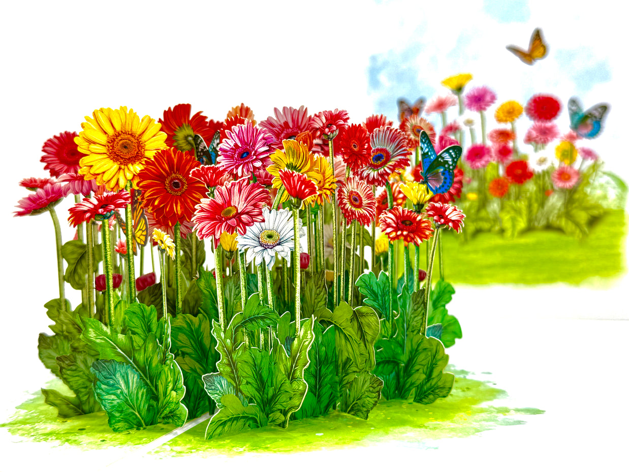 Gerbera Daisy Garden with Butterflies Origami Pop Cards 3D Pop Up Greeting Card Happy Birthday Thank You Handmade Gift Thinking of You Blank Card for Any Occasion Happy Mother's Day Happy Father's Australiana Celebrate the Beauty of Flower