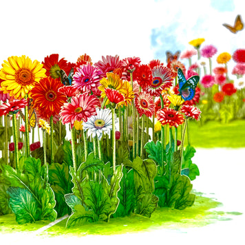 Gerbera Daisy Garden with Butterflies Origami Pop Cards 3D Pop Up Greeting Card Happy Birthday Thank You Handmade Gift Thinking of You Blank Card for Any Occasion Happy Mother's Day Happy Father's Australiana Celebrate the Beauty of Flower