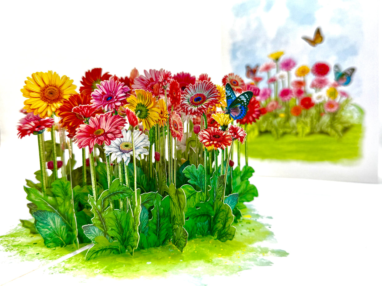Gerbera Daisy Garden with Butterflies Origami Pop Cards 3D Pop Up Greeting Card Happy Birthday Thank You Handmade Gift Thinking of You Blank Card for Any Occasion Happy Mother's Day Happy Father's Australiana Celebrate the Beauty of Flower