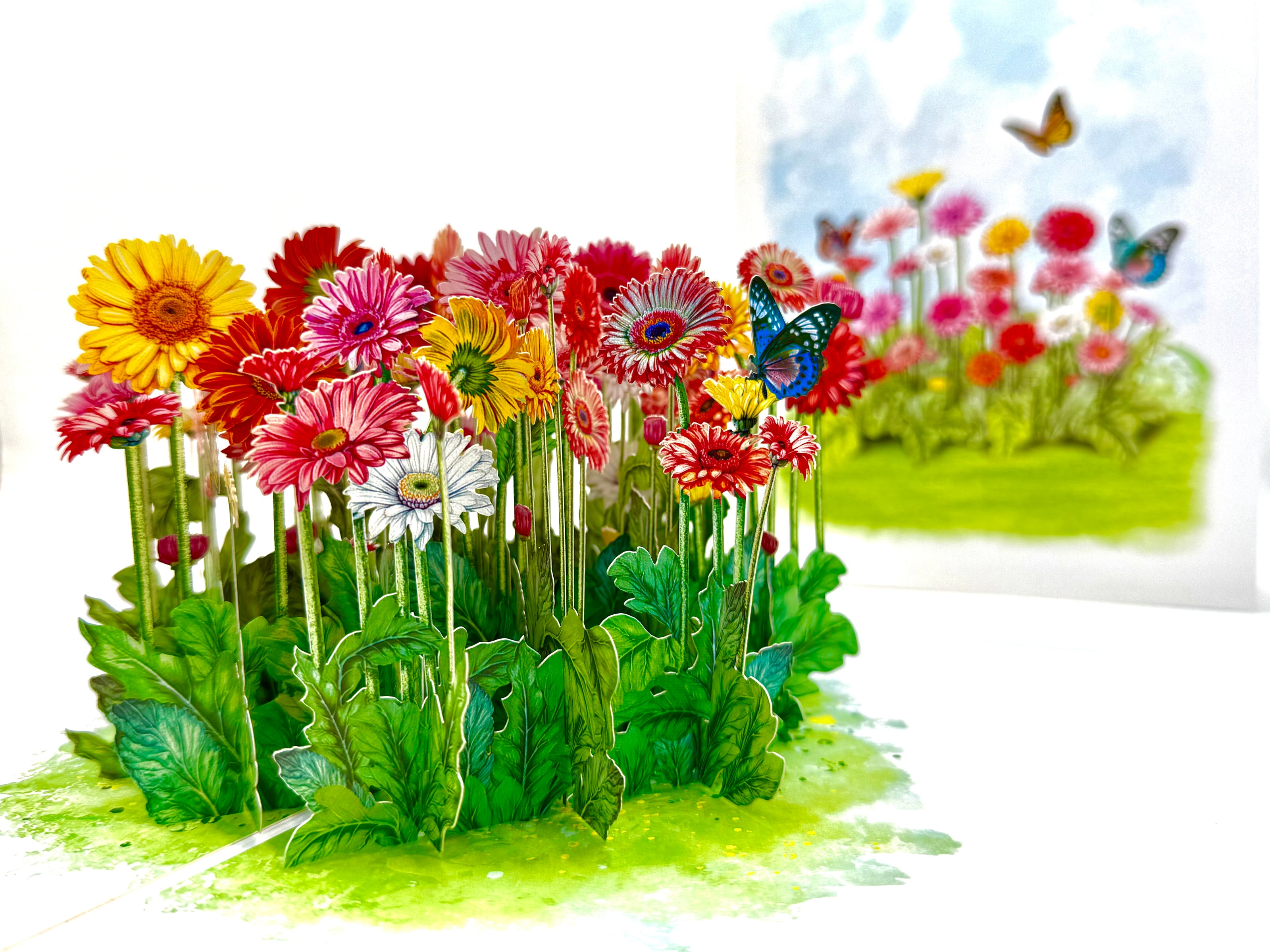 Gerbera Daisy Garden with Butterflies Origami Pop Cards 3D Pop Up Greeting Card Happy Birthday Thank You Handmade Gift Thinking of You Blank Card for Any Occasion Happy Mother's Day Happy Father's Australiana Celebrate the Beauty of Flower