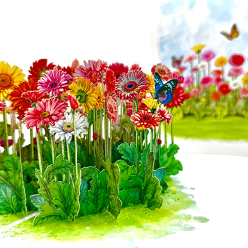 Gerbera Daisy Garden with Butterflies Origami Pop Cards 3D Pop Up Greeting Card Happy Birthday Thank You Handmade Gift Thinking of You Blank Card for Any Occasion Happy Mother's Day Happy Father's Australiana Celebrate the Beauty of Flower