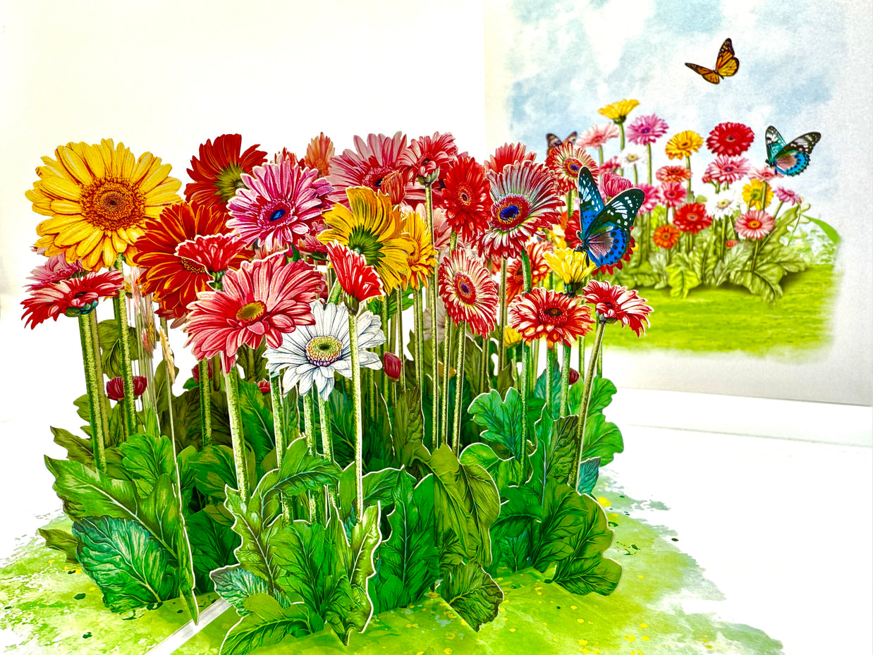 Gerbera Daisy Garden with Butterflies Origami Pop Cards 3D Pop Up Greeting Card Happy Birthday Thank You Handmade Gift Thinking of You Blank Card for Any Occasion Happy Mother's Day Happy Father's Australiana Celebrate the Beauty of Flower