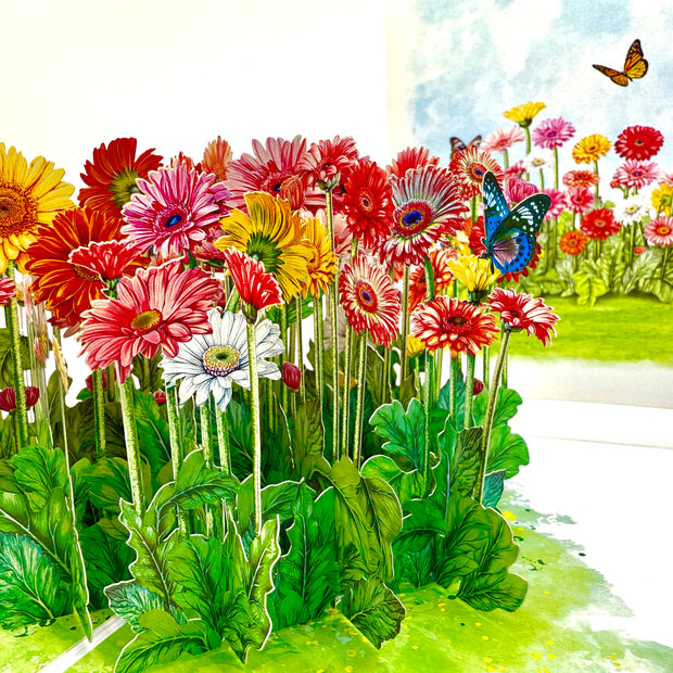 Gerbera Daisy Garden with Butterflies Origami Pop Cards 3D Pop Up Greeting Card Happy Birthday Thank You Handmade Gift Thinking of You Blank Card for Any Occasion Happy Mother's Day Happy Father's Australiana Celebrate the Beauty of Flower