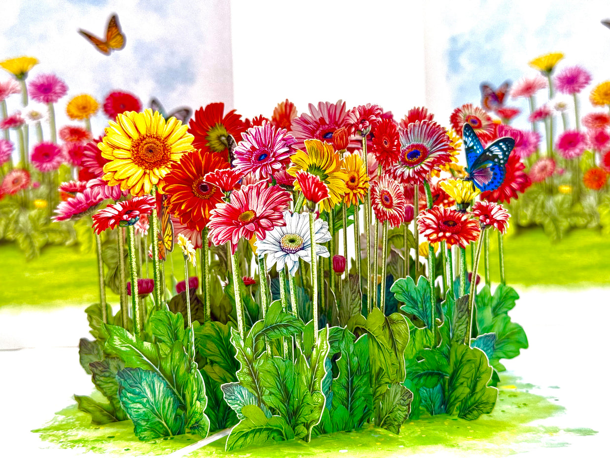 Gerbera Daisy Garden with Butterflies Origami Pop Cards 3D Pop Up Greeting Card Happy Birthday Thank You Handmade Gift Thinking of You Blank Card for Any Occasion Happy Mother's Day Happy Father's Australiana Celebrate the Beauty of Flower