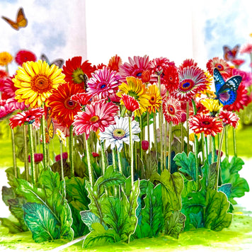 Gerbera Daisy Garden with Butterflies Origami Pop Cards 3D Pop Up Greeting Card Happy Birthday Thank You Handmade Gift Thinking of You Blank Card for Any Occasion Happy Mother's Day Happy Father's Australiana Celebrate the Beauty of Flower