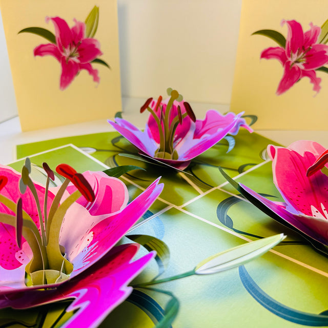 A Giant Hot Pink Lily - Just Perfect for a Thank You Note Origami Pop Cards 3D Pop Up Greeting Card Happy Birthday Thank You Handmade Gift Thinking of You Blank Card for Any Occasion Happy Mother's Day Happy Father's Celebrate the Beauty of Flower