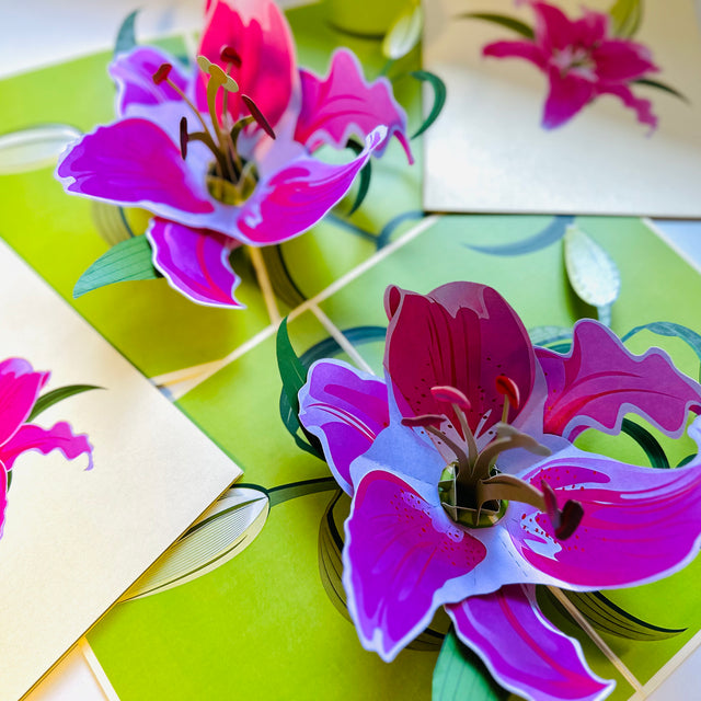 A Giant Hot Pink Lily - Just Perfect for a Thank You Note Origami Pop Cards 3D Pop Up Greeting Card Happy Birthday Thank You Handmade Gift Thinking of You Blank Card for Any Occasion Happy Mother's Day Happy Father's Celebrate the Beauty of Flower
