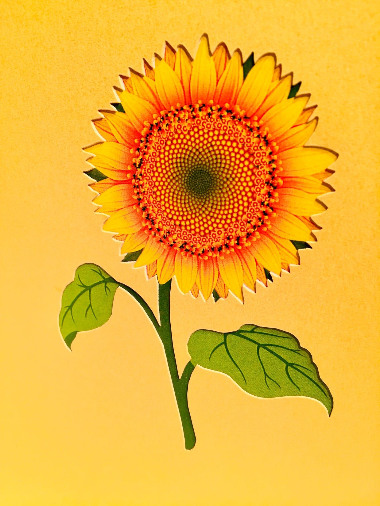 Golden Sunflower Bouquet Wrapped in Red Ribbon Pop Cards 3D Pop Up Greeting Card Happy Birthday Thank You Handmade Gift Thinking of You Blank Card for Any Occasion Happy Mother's Day Happy Father's Australiana Celebrate the Beauty of Flower